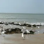 Casa de Férias In Near The Knokke-Heist