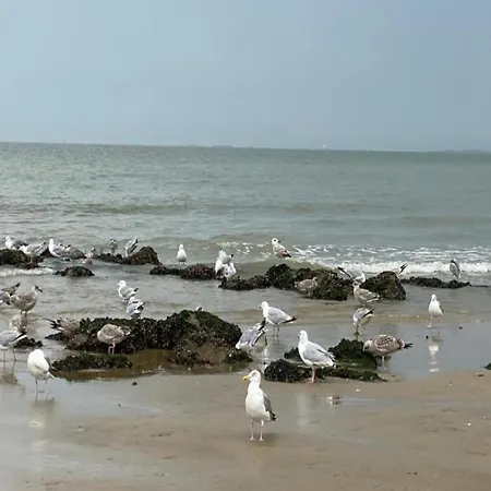 Casa de Férias In Near The Knokke-Heist