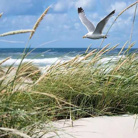Σπίτι διακοπών In Near The Knokke-Heist